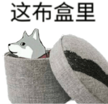 XcQC2z0YHqFW3N2g.jpg