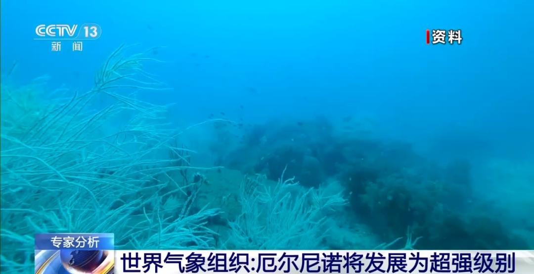 CDC235WRscRmz052.jpg
